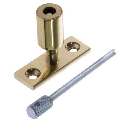 Polished Brass Locking Pivot